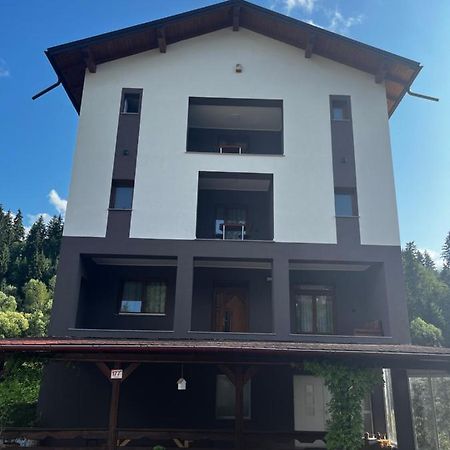 Cazare Luxandra Borşa المظهر الخارجي الصورة